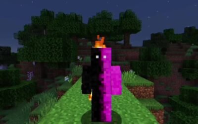 @daquavis_mc New Minecraft skin #minecraft #fyp #trending  …