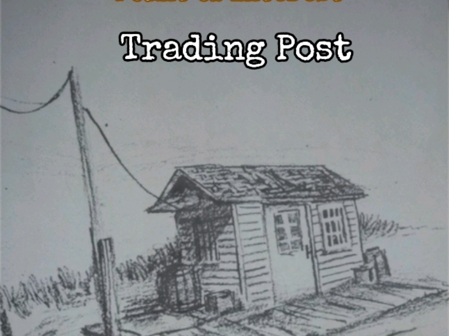 @cydo9515 The Trading Post! a cheat code is inside of this cabin!  #rdr2 #cydo95…