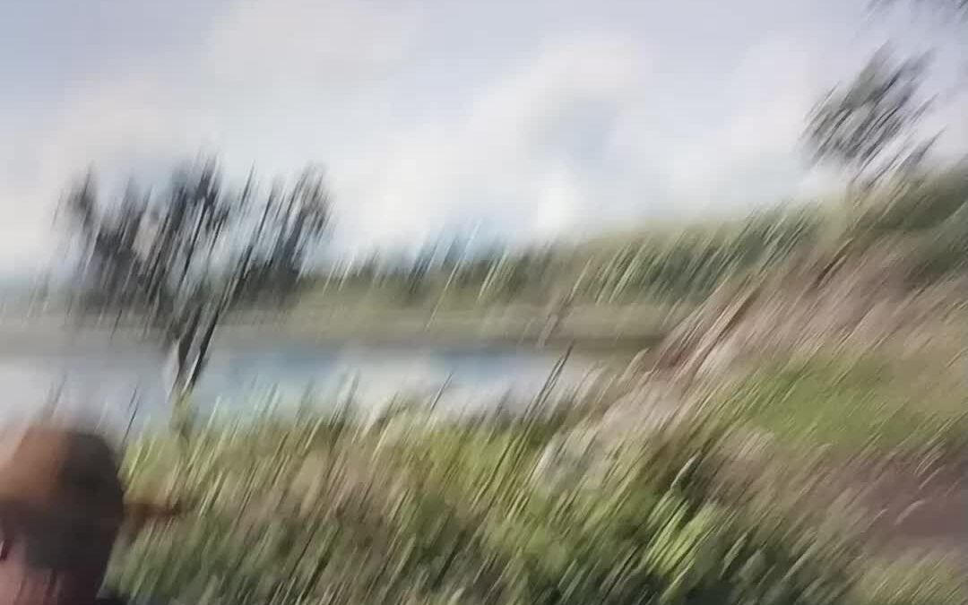 @kingkobee2016 follow for more …