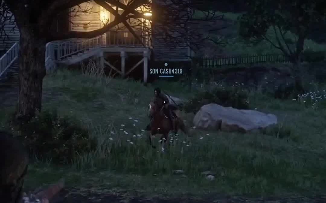 @k9_sheppard Quality of life! #soulbro3 #xbox #reddeadredemption2 #missions #pvp…