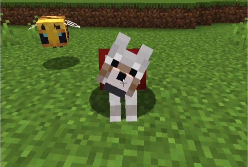 @daquavis_mc Minecraft meme #minecraft #minecraftmemes #minecrafter  …
