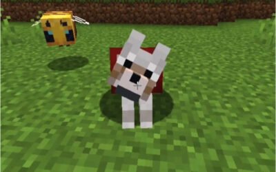 @daquavis_mc Minecraft meme #minecraft #minecraftmemes #minecrafter  …