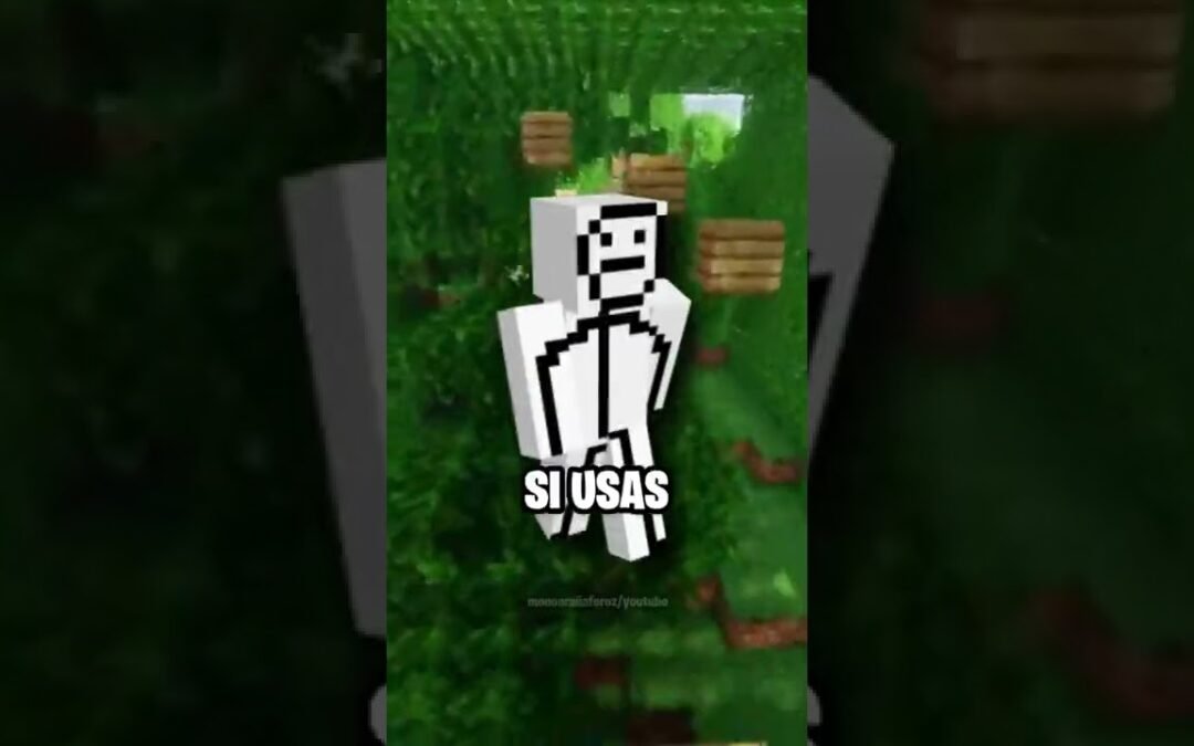 Lo Que Tu Skin De Minecraft Dice De ti 4