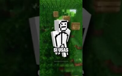 Lo Que Tu Skin De Minecraft Dice De ti 4