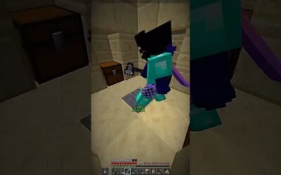 Minecraft skull edit(tas)