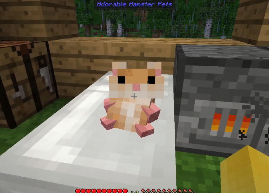 @komipacket those hamsters are so cute but they’re are my little army that will …