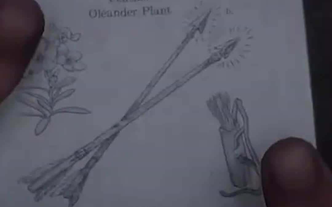 @rdr_depression Poison Arrows are a Cheatcode in RDR2  #rdr2 #reddeadredemption2…