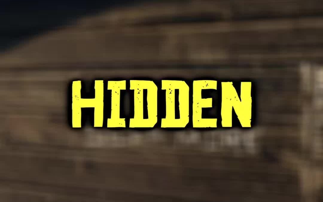 @survival.night HIDDEN CHEATS CODE IN RDR2  #rdr #rdr2clips #reddeadonline #redd…