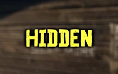 @survival.night HIDDEN CHEATS CODE IN RDR2  #rdr #rdr2clips #reddeadonline #redd…