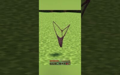 Minecraft Villagers Are Into Furry Mods #minecraft #villager #grox