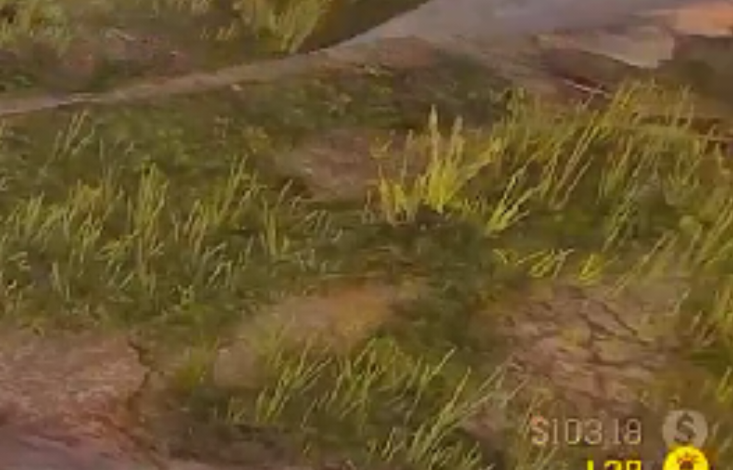 @trapzzsnapzz Get Rich Don’t Waste No More Time #rdr2#reddeadonline#glitch#citad…