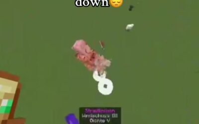 @johannisschnitzelsose I know im Not that good#mace #minecraft #pvp #realm #trai…
