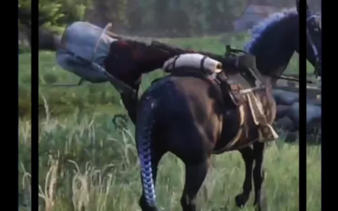 @rdr2_disconnected bros quicker than me #rdo #reddeadonline #reddeadredemption2o…