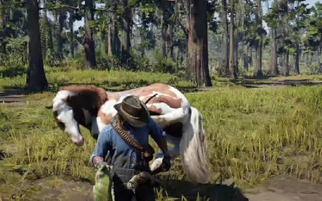 @crashseven7 #rdr2 #reddeadredemption2 #arthurmorgan #survivaltips #gaming #fyp …