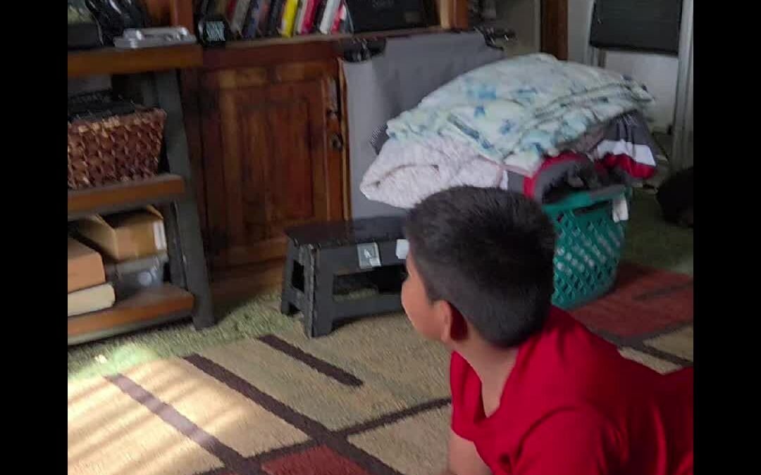 @tontolvup my nephew has a money glitch on rdr2  #cheats #getthatmoney #rdr2  …