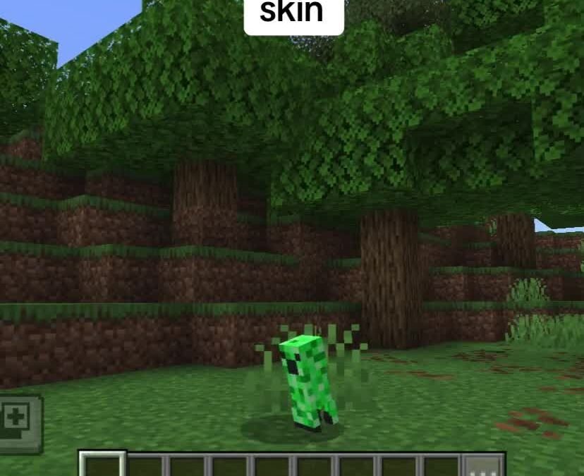 @greasy_cat Baby creeper #fyp #minecraft #creeper #cuteanimals #baby  …