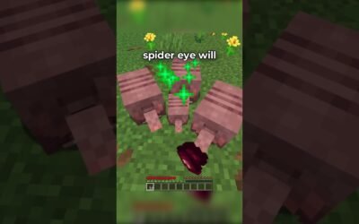 BEST MINECRAFT TIPS OF ALL TIME