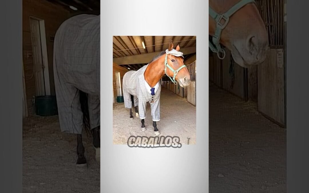 El mejor CABALLO de Red dead redemption 2 #reddeadredemption2 #editor #arthurmorgan #rockstargames