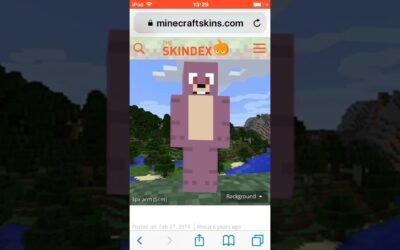 How to get skins from Skindex