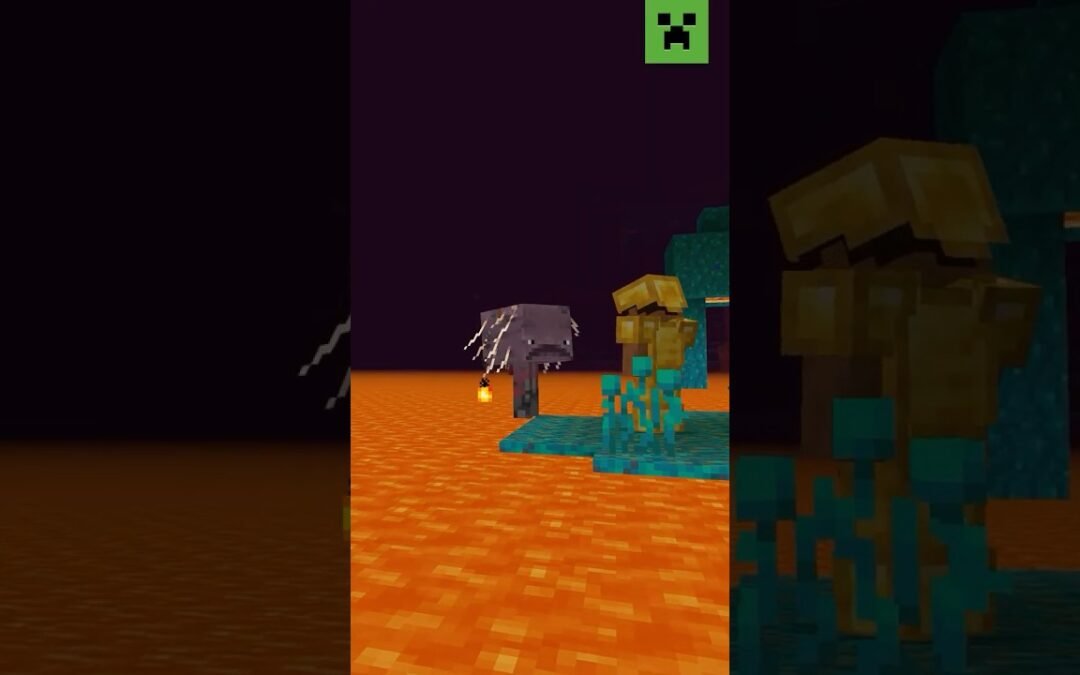 WHO ARE YOU IN THE NETHER?