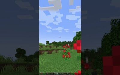 How To Find Your Seed in Minecraft Java Edition