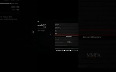 Red Dead Redemption 2 || Calibrating the brightness for best viewing experience || MMPA ||