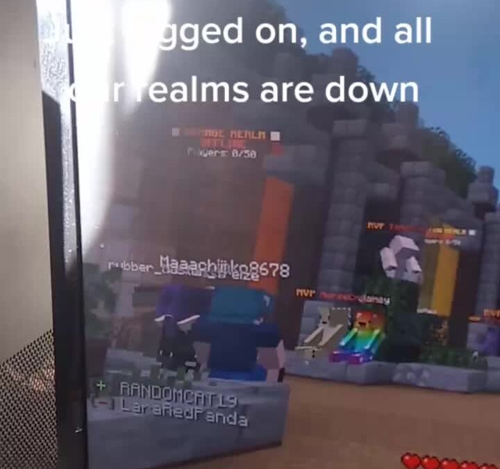 @dovahsoulz Its chaos here #fyp #maxplumpjump #minecraft #minecraftserver #Never…