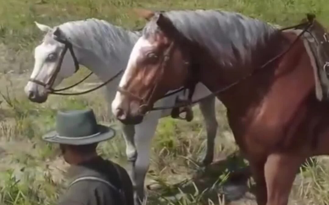 @lemuelgamerover Did you know that in Red Dead Redemption 2?  #reddead #reddeadr…