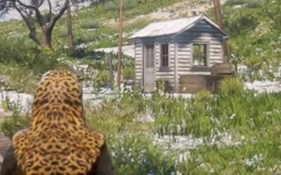 @mr_motivation_no1 Hidden Cheat Codes  #reddeadredemption2 #rdr #foryourpagee  …