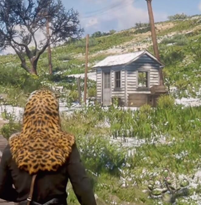 @mr_motivation_no1 Hidden Cheat Codes  #reddeadredemption2 #rdr #foryourpagee  …