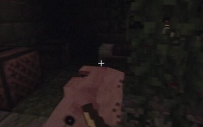 @barbiebitez Why is the pig body chomped  Duo- @lanzwrld  #minecraft #minecrafth…
