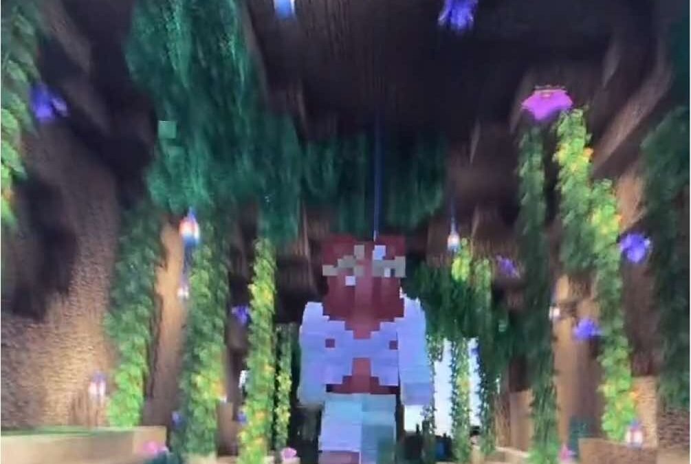 @bellzia.ttv i change my mc skin more than i should show me your skins in the co…