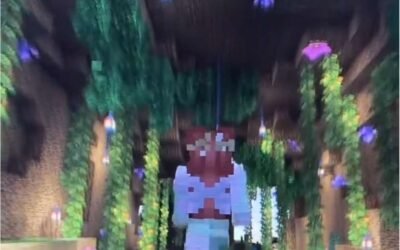 @bellzia.ttv i change my mc skin more than i should show me your skins in the co…