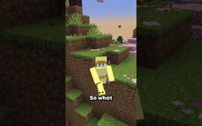 The Rarest Seed in Minecraft! (Rarer Than Fully Completed End Portal)