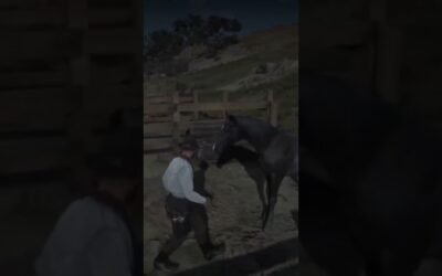 This cowboy stuff ain’t easy #gaming #reddeadredemption #roleplay #steam #mods #gtarp