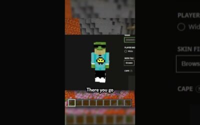 Fixing YOUR Minecraft Skins Day 27!