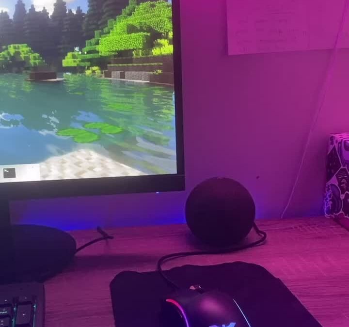 @squidsocks Minecraft skins hehehe …