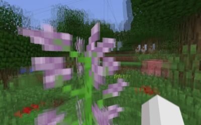 @curvesl Jump minecraft version #pvp #minecraft #combo #bedwarsclips #hitsync  …