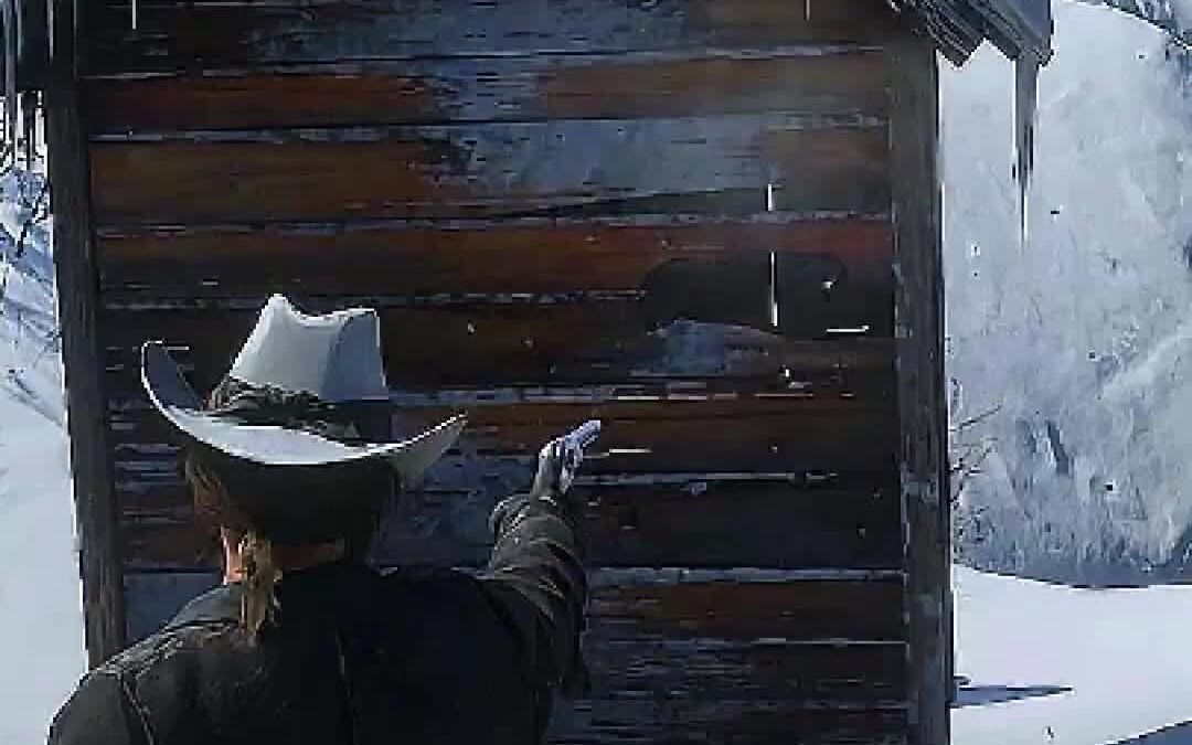 @rdrheadache Strange Secrets You Probably Missed in Red Dead Redemption 2 . . #r…