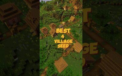 BEST 4 VILLAGE SEED #shorts