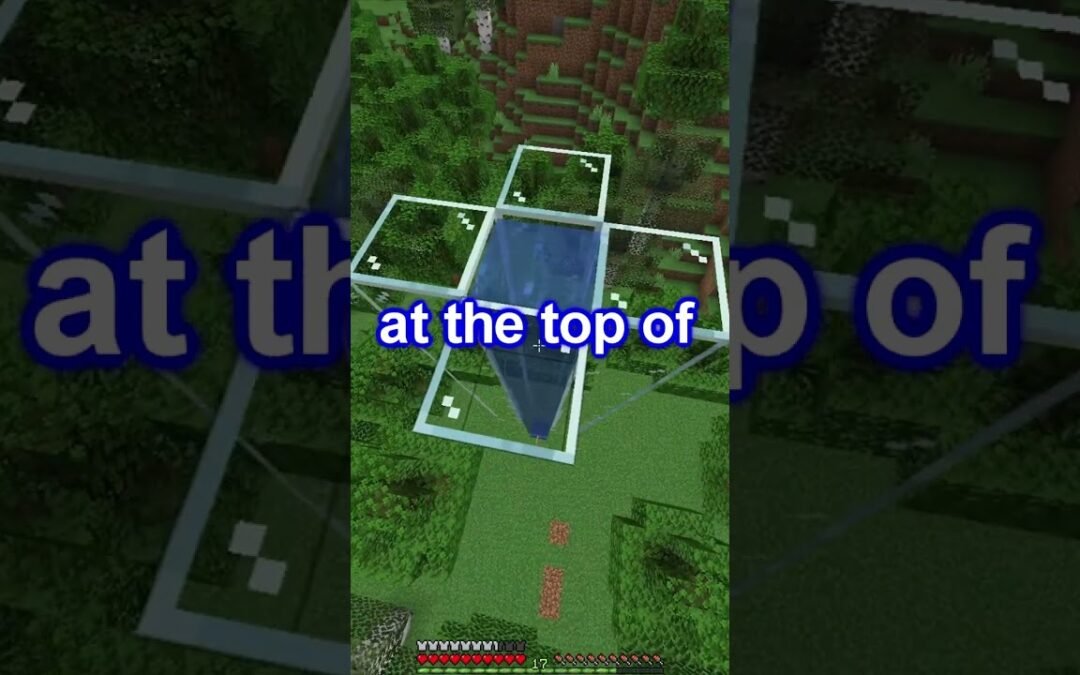 HOW TO CREATE WATER SOURCES FOR A BUBBLE ELEVATOR IN MINECRAFT!