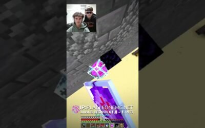 Daquavis with the clutch on Wildkits! #minecraft #smp #minecraftshorts #minecraftmemes #minehut