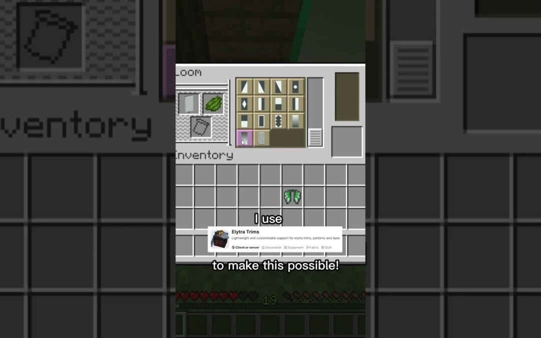 Custom Elytra V2 #minecraft #shorts #buildhacks