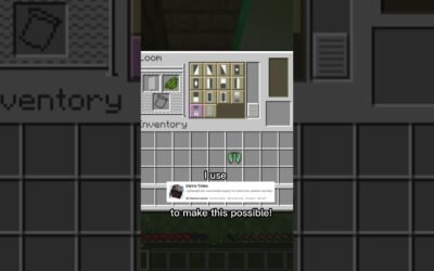 Custom Elytra V2 #minecraft #shorts #buildhacks