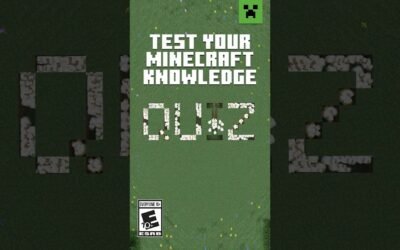 CAN YOU BEAT THIS MINECRAFT QUIZ?