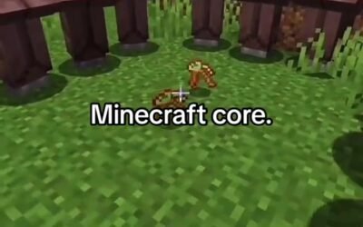 @brak.craft #minecraft #meme  …