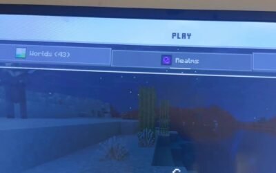 @camdenlaman0 #minecraft #realms #smp #funny …