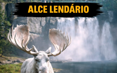 @digo.lemos ANIMAIS LENDÁRIOS – Alce Lendário em Red Dead Redemption 2 (9/16) | …