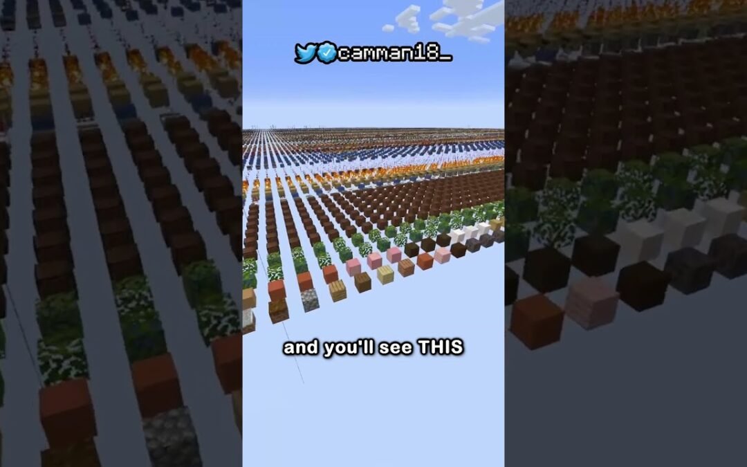 the secret minecraft world type…