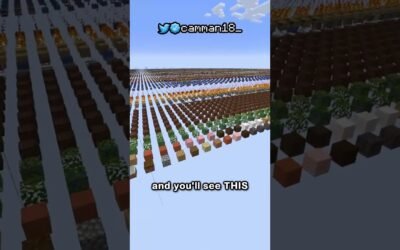 the secret minecraft world type…